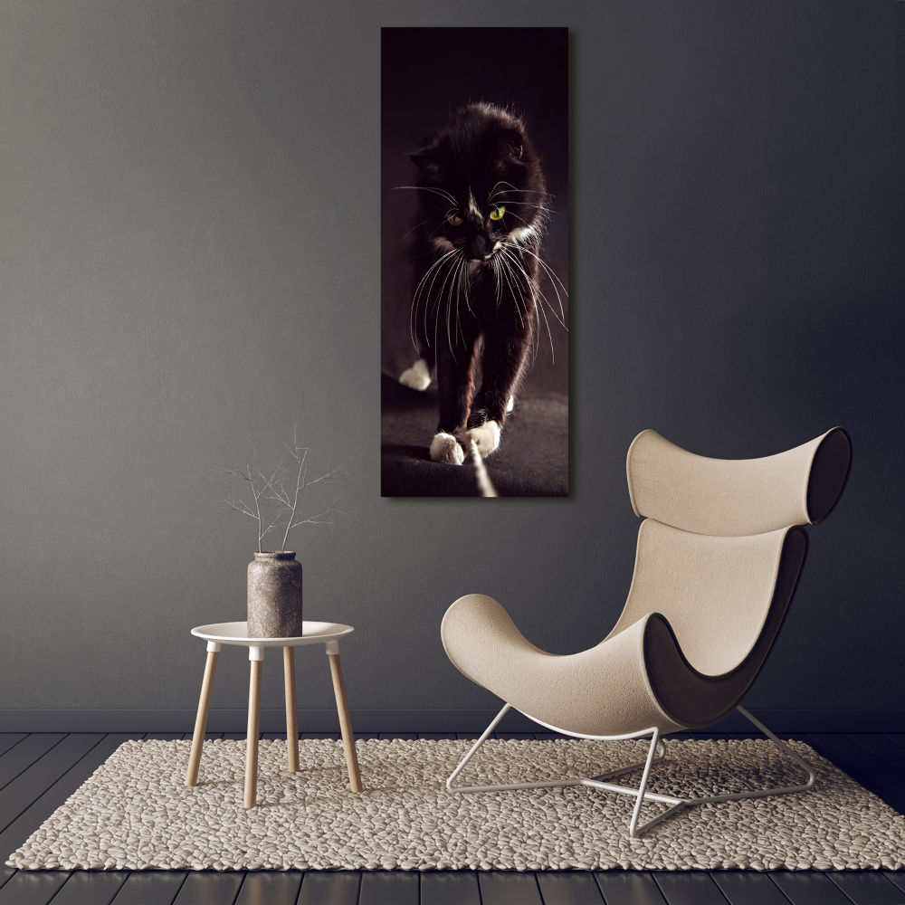 Tableau photo sur toile Chat noir