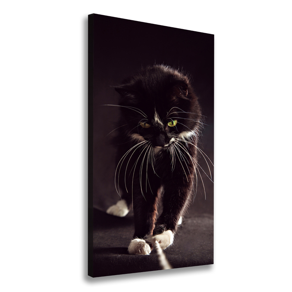 Tableau photo sur toile Chat noir