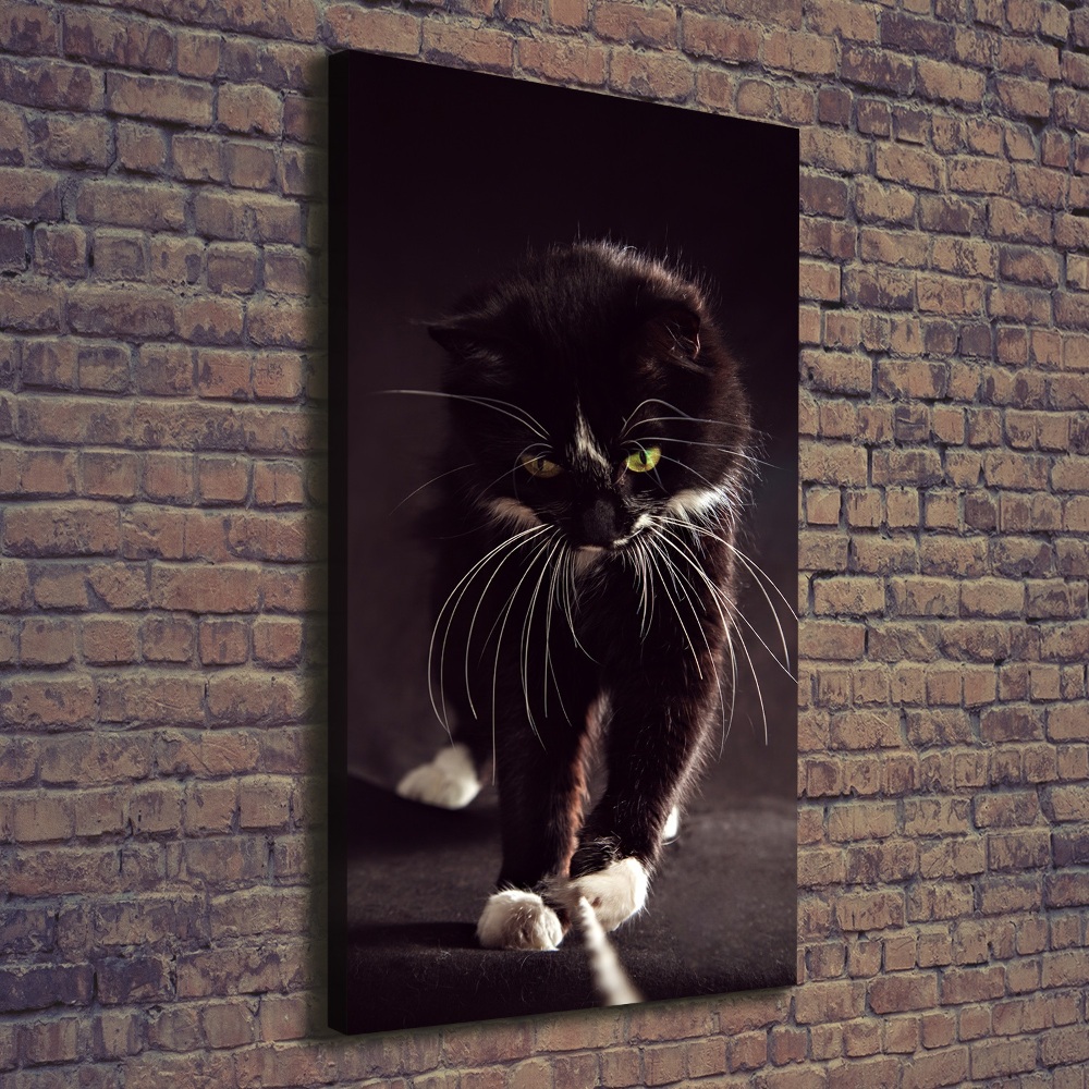 Tableau photo sur toile Chat noir