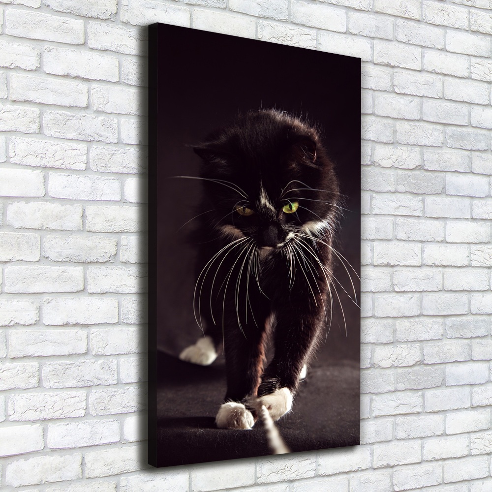 Tableau photo sur toile Chat noir