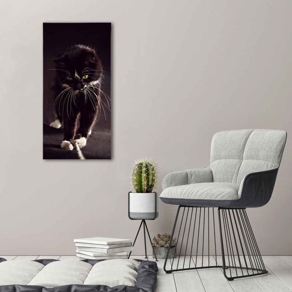 Tableau photo sur toile Chat noir