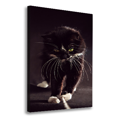 Tableau photo sur toile Chat noir