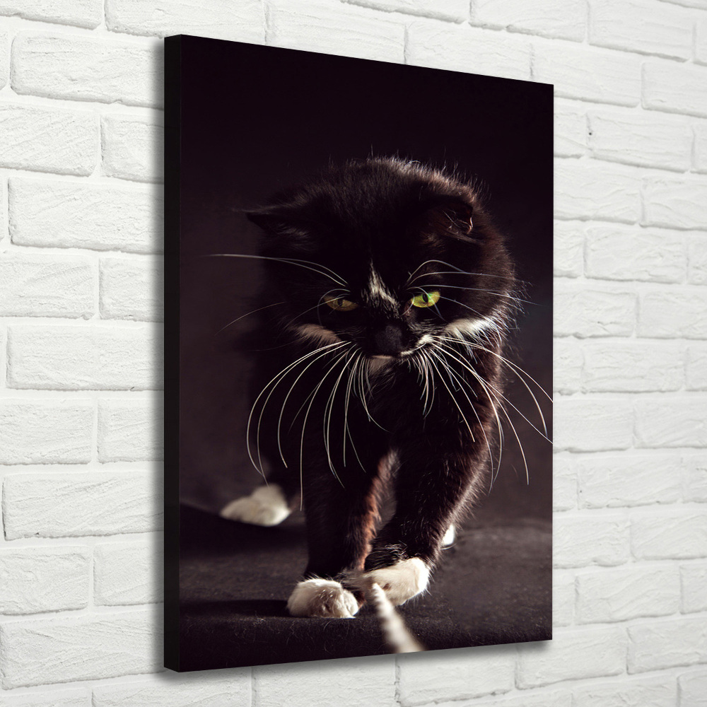 Tableau photo sur toile Chat noir