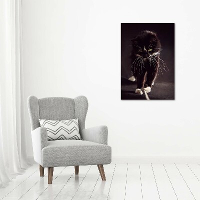 Tableau photo sur toile Chat noir