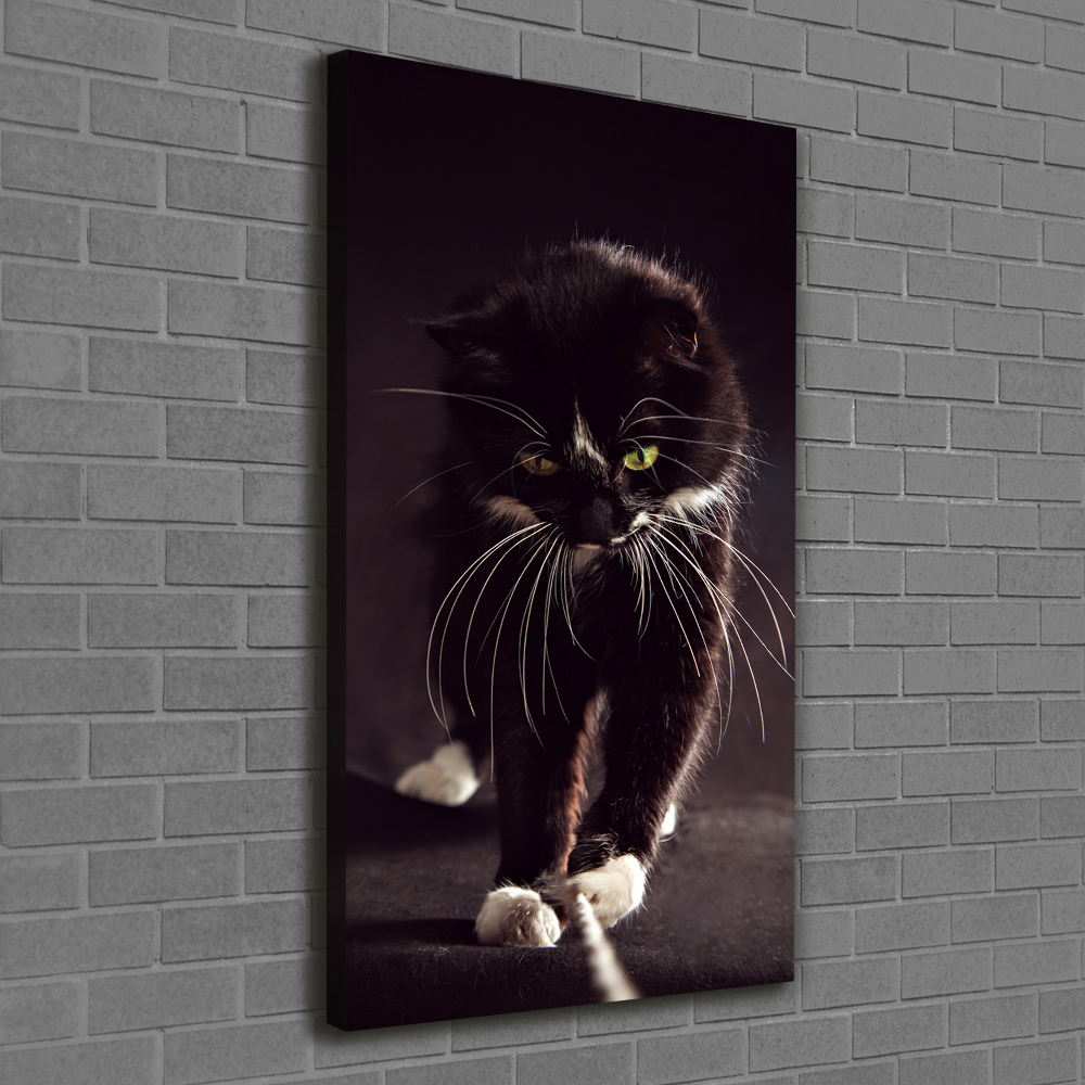 Tableau photo sur toile Chat noir