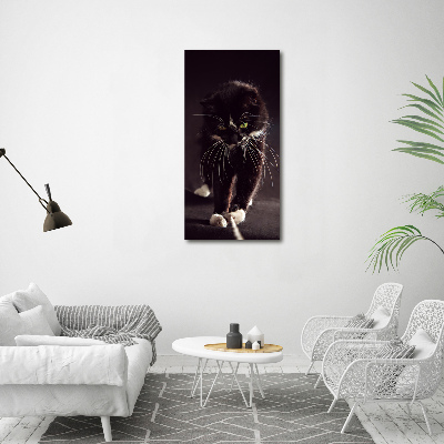 Tableau photo sur toile Chat noir