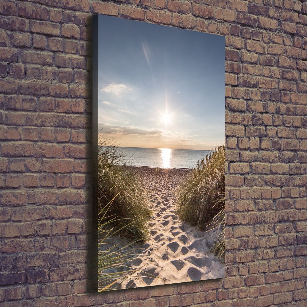 Tableau mural sur toile Dunes côtières