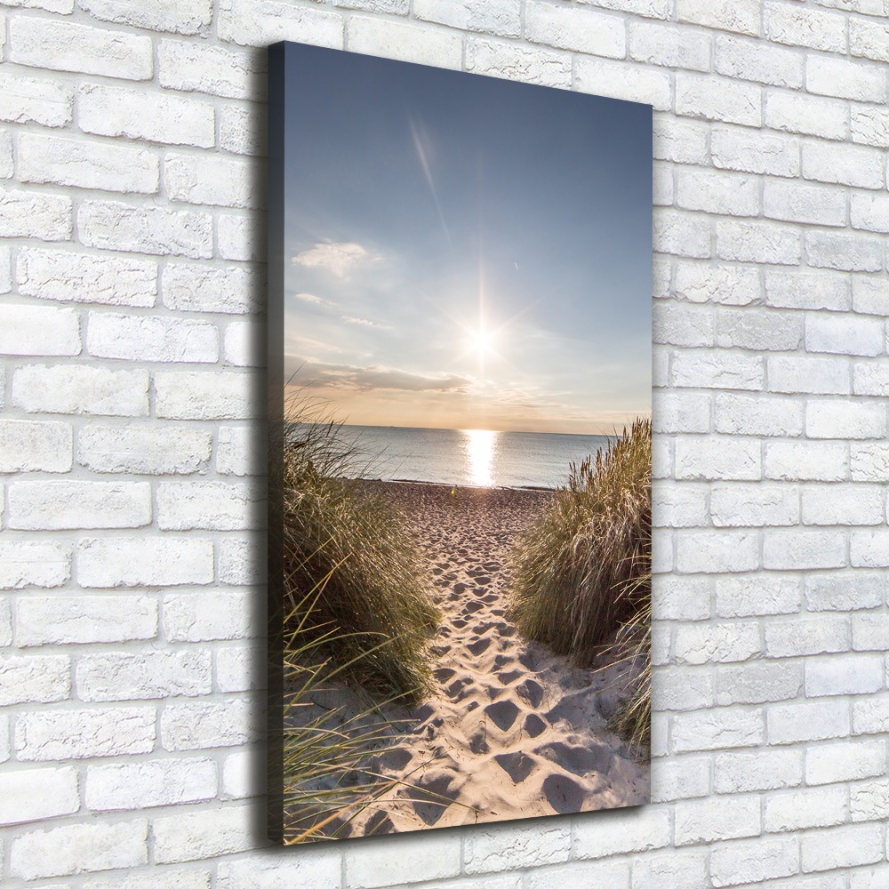 Tableau mural sur toile Dunes côtières