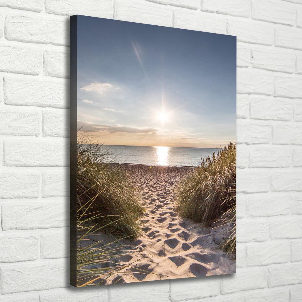 Tableau mural sur toile Dunes côtières