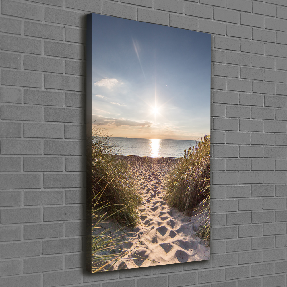 Tableau mural sur toile Dunes côtières