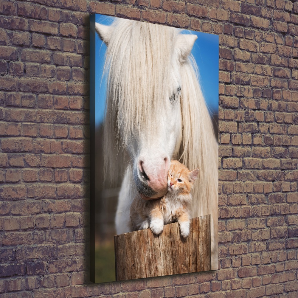 Tableau imprimé sur toile Cheval blanc avec chat