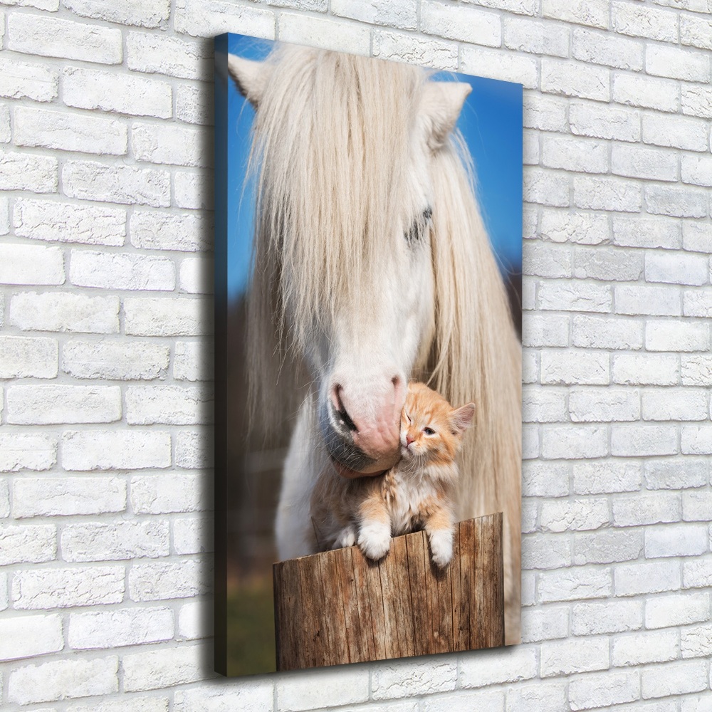 Tableau imprimé sur toile Cheval blanc avec chat