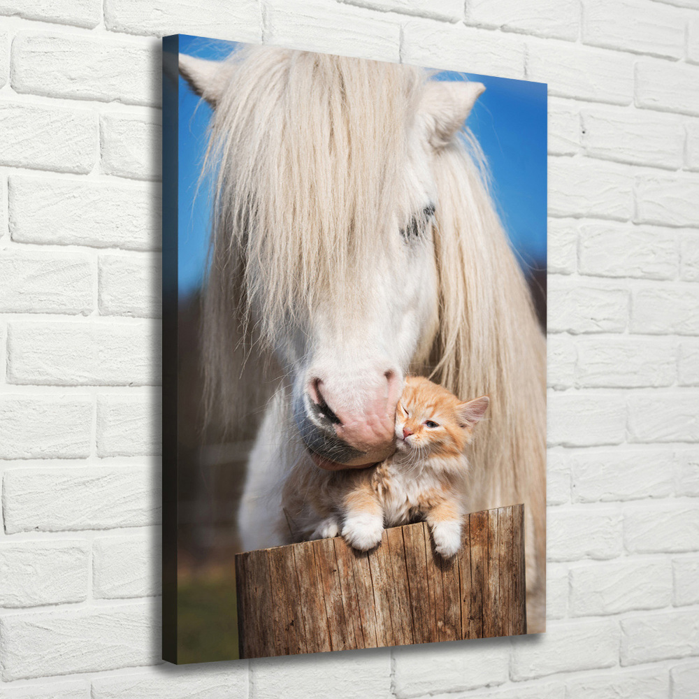 Tableau imprimé sur toile Cheval blanc avec chat