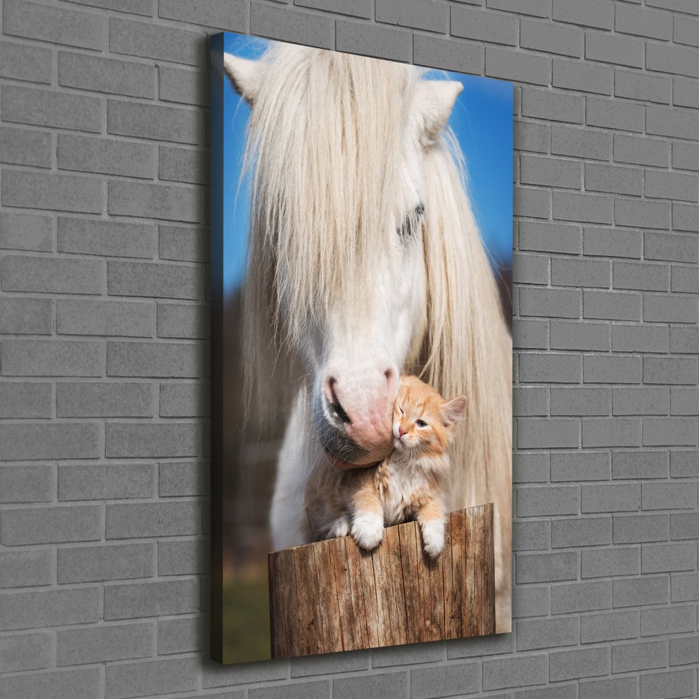 Tableau imprimé sur toile Cheval blanc avec chat