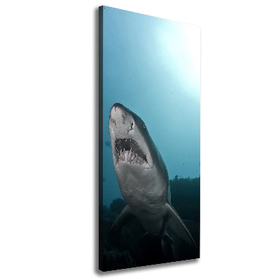 Tableau imprimé sur toile Grand requin