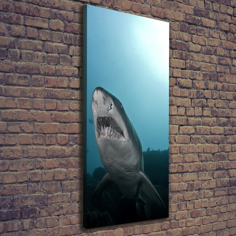 Tableau imprimé sur toile Grand requin