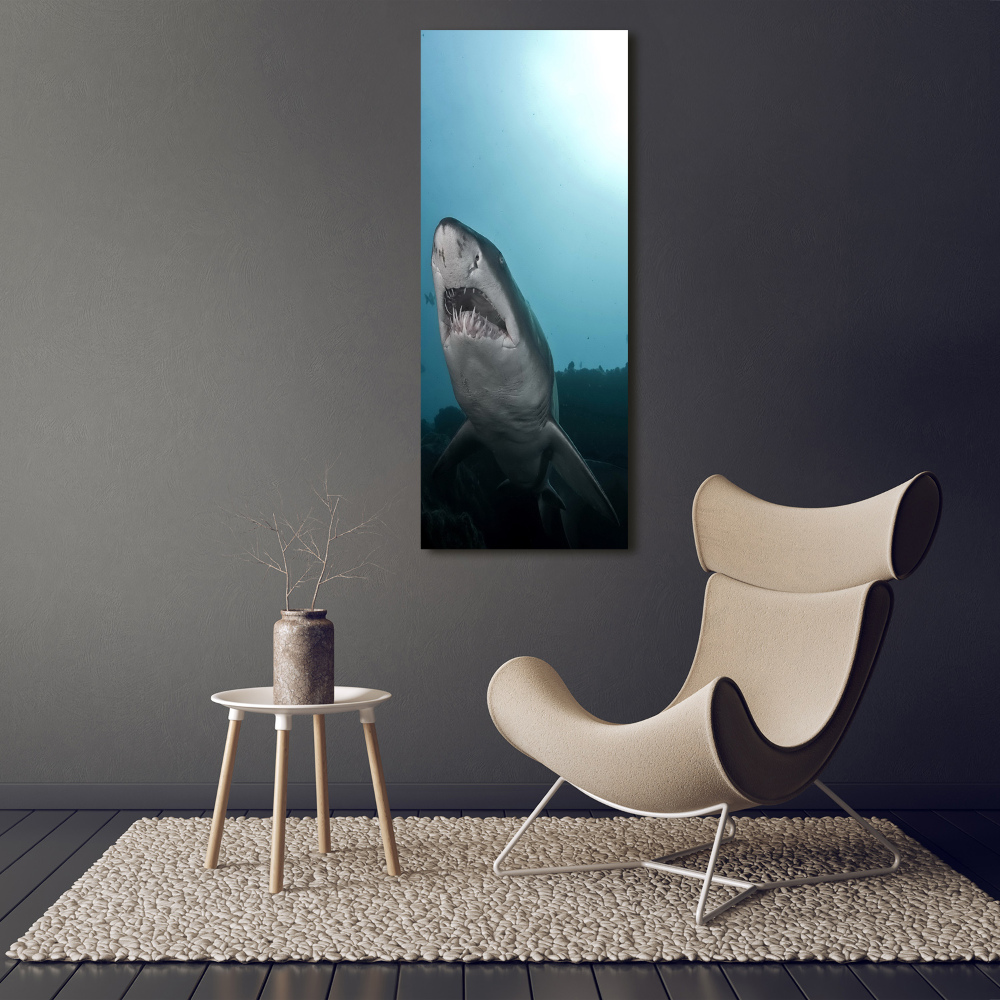 Tableau imprimé sur toile Grand requin