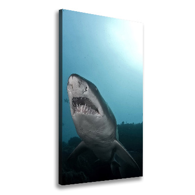 Tableau imprimé sur toile Grand requin