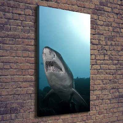 Tableau imprimé sur toile Grand requin