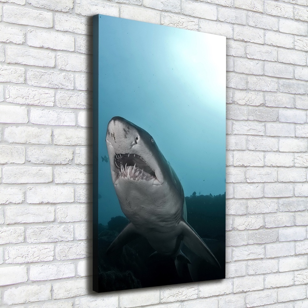 Tableau imprimé sur toile Grand requin