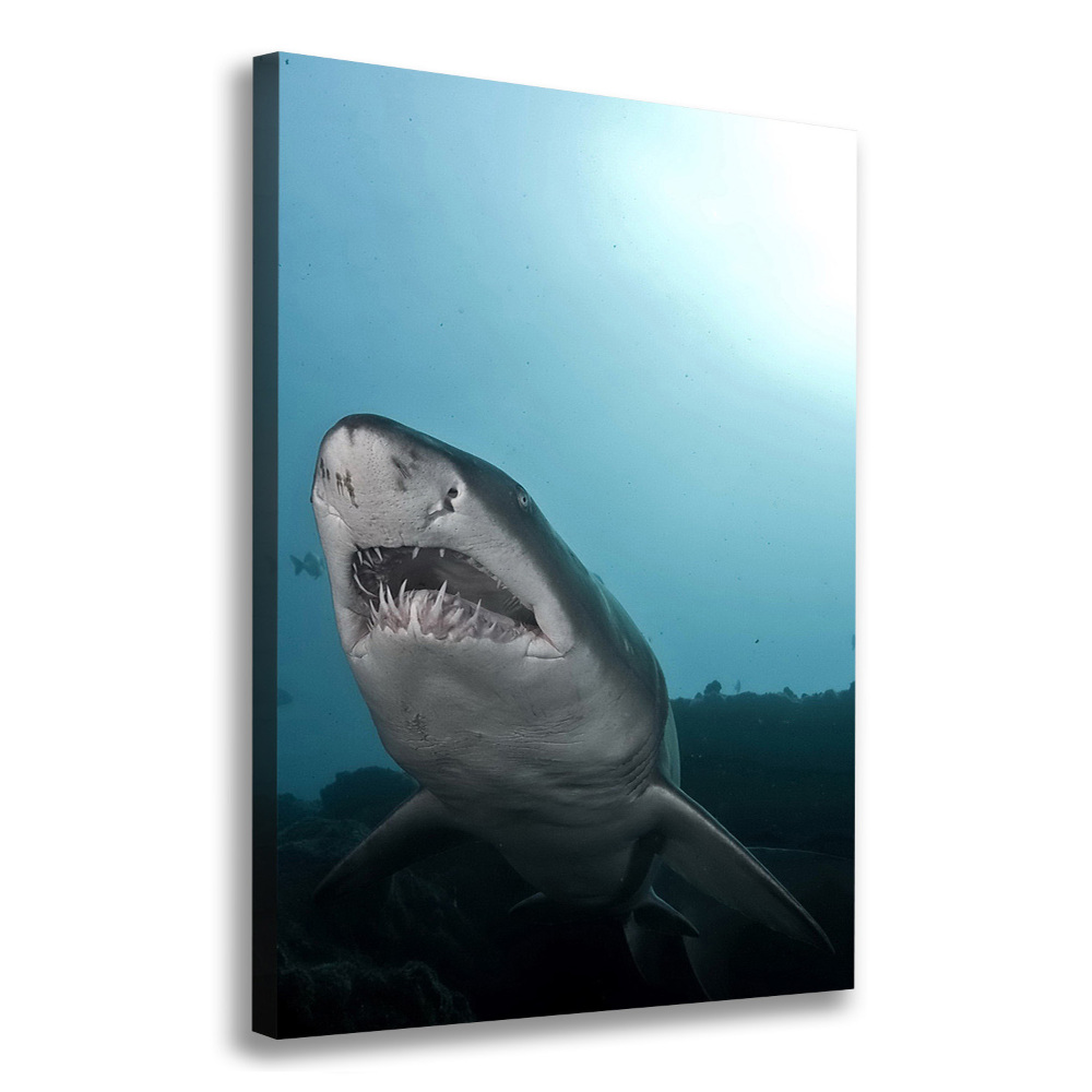 Tableau imprimé sur toile Grand requin