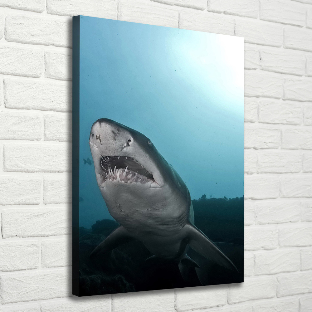 Tableau imprimé sur toile Grand requin