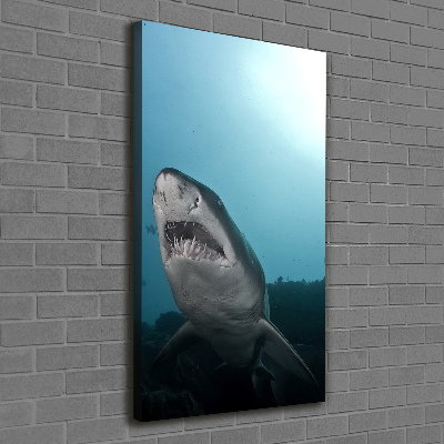 Tableau imprimé sur toile Grand requin