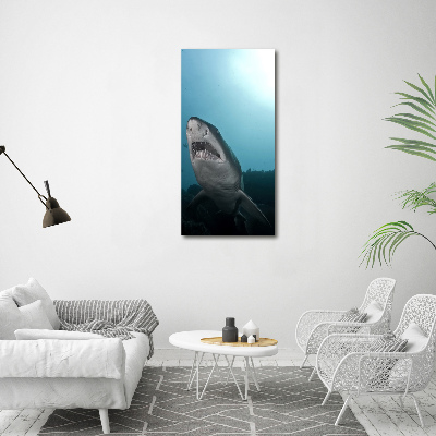 Tableau imprimé sur toile Grand requin