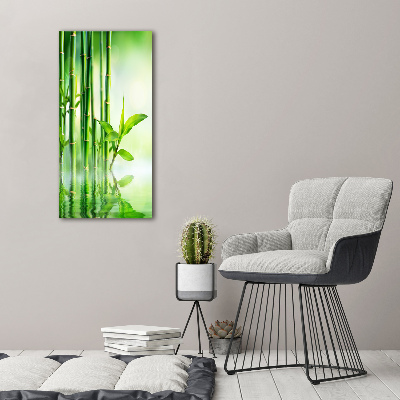 Tableau photo sur toile Bambou dans l'eau