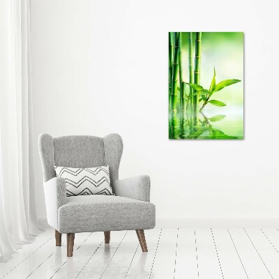 Tableau photo sur toile Bambou dans l'eau