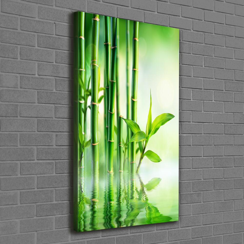 Tableau photo sur toile Bambou dans l'eau