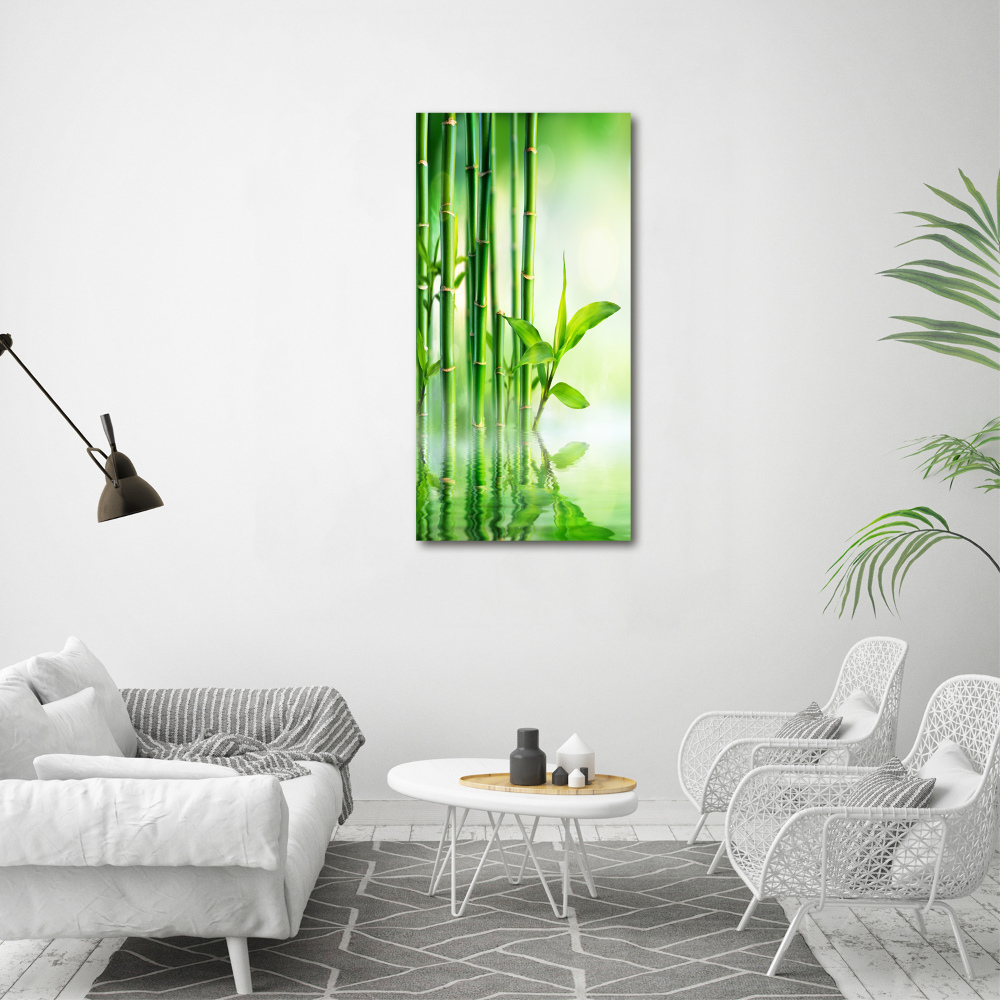 Tableau photo sur toile Bambou dans l'eau