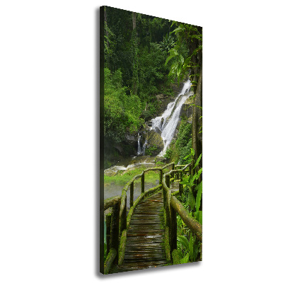 Tableau mural sur toile Chemin de jungle