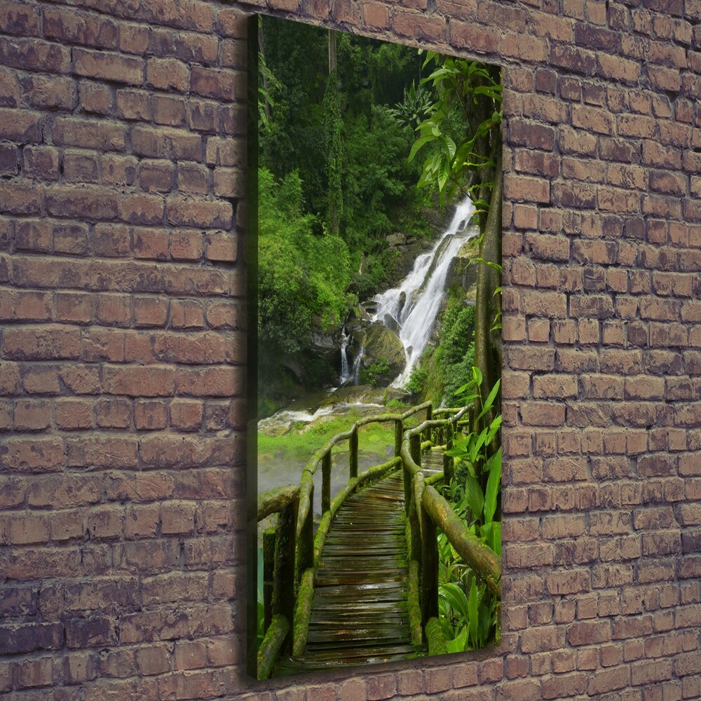 Tableau mural sur toile Chemin de jungle