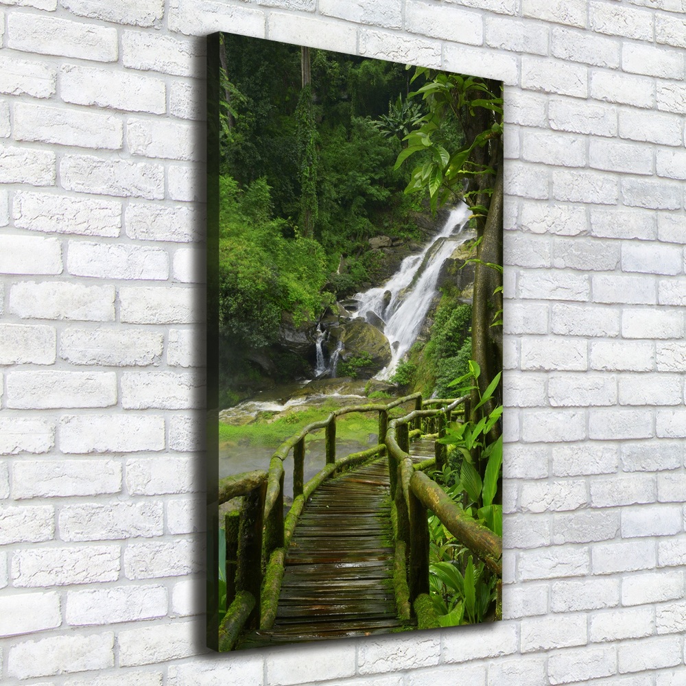 Tableau mural sur toile Chemin de jungle