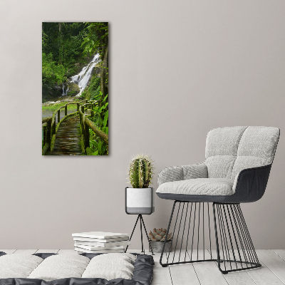 Tableau mural sur toile Chemin de jungle