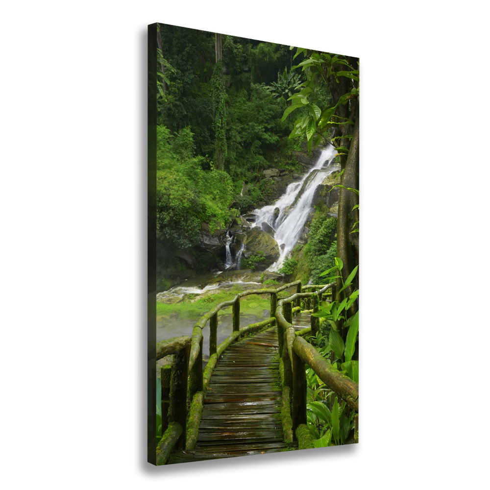 Tableau mural sur toile Chemin de jungle