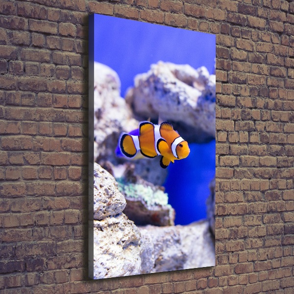 Tableau toile imprimée Poisson Nemo