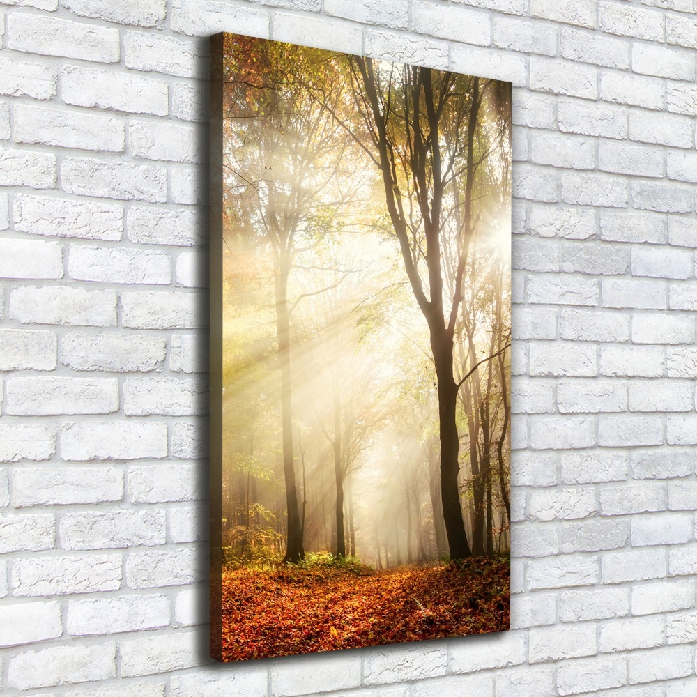 Tableau mural sur toile Forêt en automne