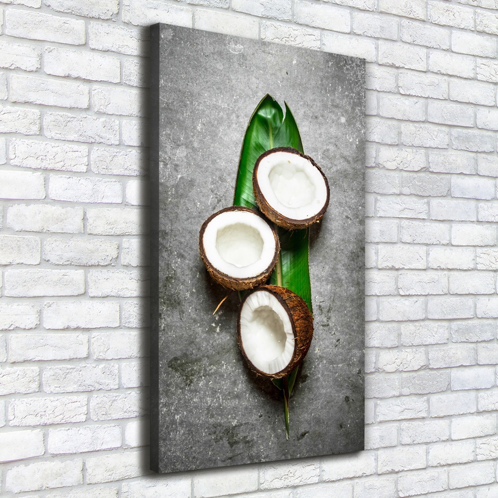 Tableau imprimé sur toile Noix de coco sur une feuille