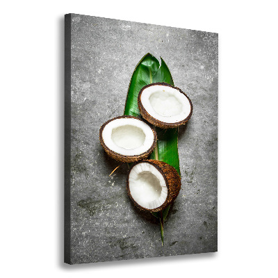 Tableau imprimé sur toile Noix de coco sur une feuille