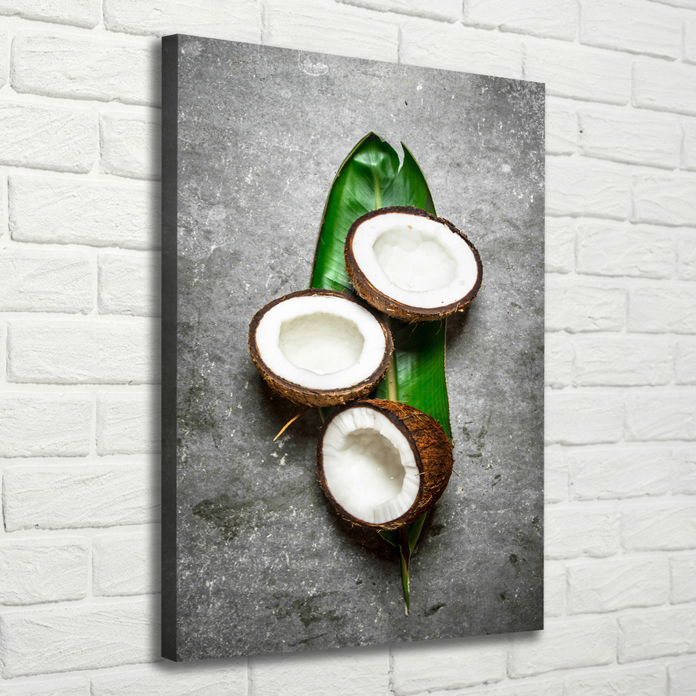 Tableau imprimé sur toile Noix de coco sur une feuille