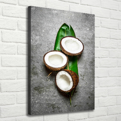 Tableau imprimé sur toile Noix de coco sur une feuille