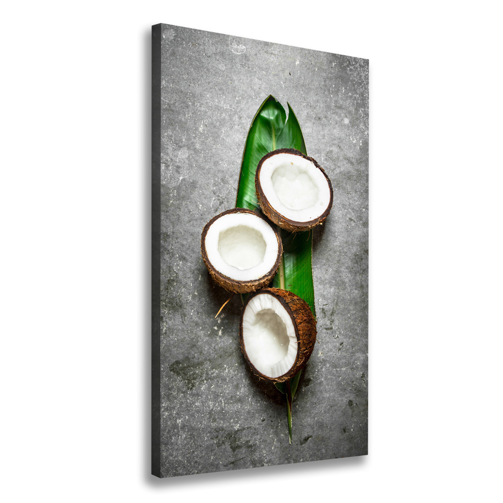 Tableau imprimé sur toile Noix de coco sur une feuille