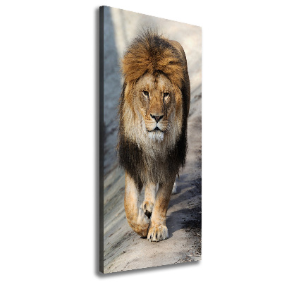 Tableau mural sur toile Lion