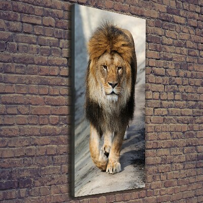 Tableau mural sur toile Lion