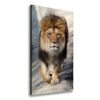 Tableau mural sur toile Lion