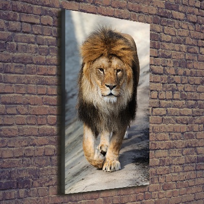 Tableau mural sur toile Lion