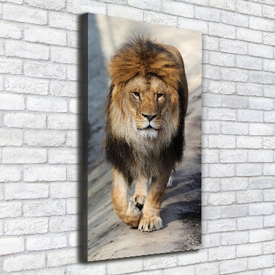 Tableau mural sur toile Lion