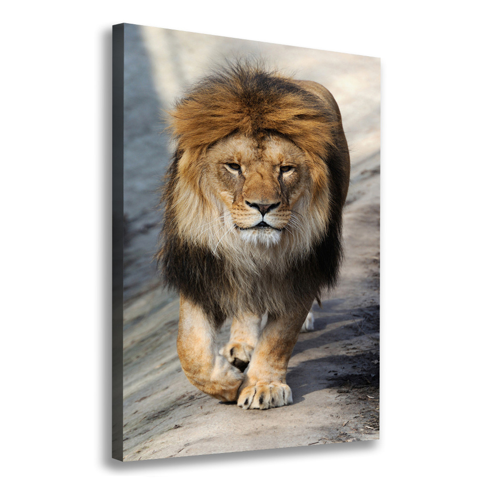 Tableau mural sur toile Lion